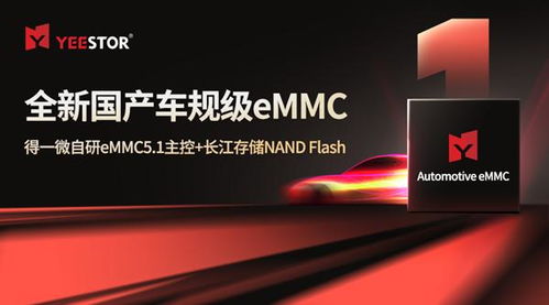 CFMS2024 存储走向中央,得一微与晶科微电子持续开拓新篇章