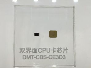 大唐微电子与晶科微电子 创新科技亮相2017第九届深圳国际物联网博览会