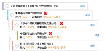 无锡中科微电子工业技术研究院有限责任公司 引领晶科微电子技术的创新与发展