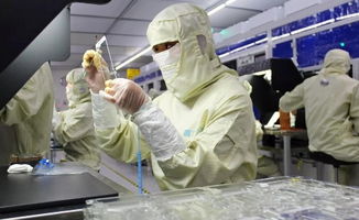 中国大步迈向手机面板强国 晶科微电子的引领之路